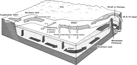 The Persian Gulf: A Young Sea Navigating Modern Decline