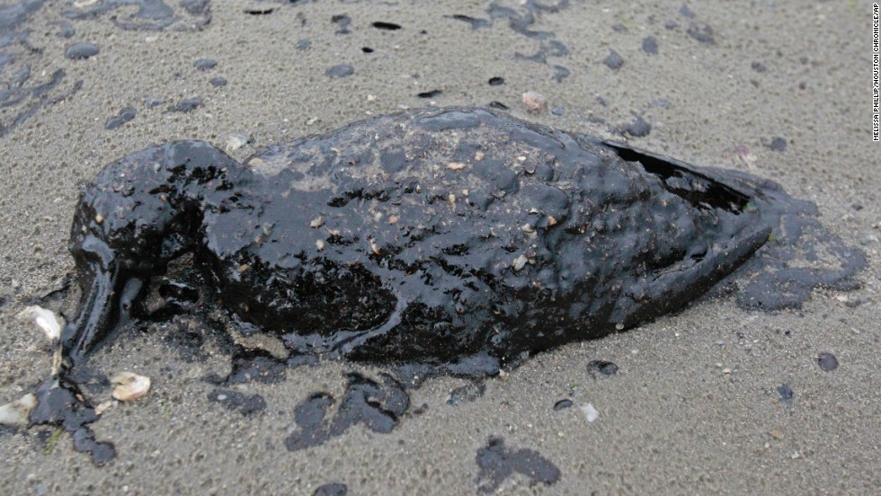 Texas Firm to Pay $13 Million to Settle Charges Over California Oil Spill