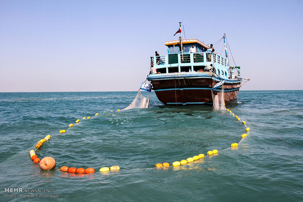 How Dependent Persian Gulf and Oman Sea Communities Are on Coastal Fisheries ?