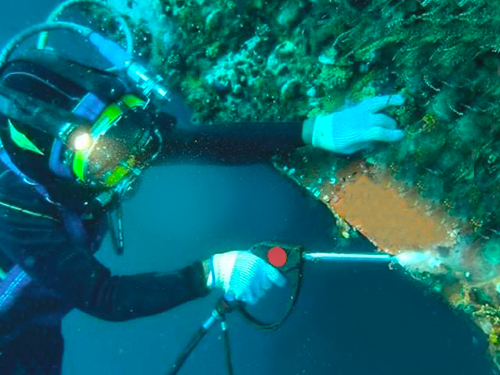 What is Biofouling for Ship? A Hidden Challenge for Maritime Industry