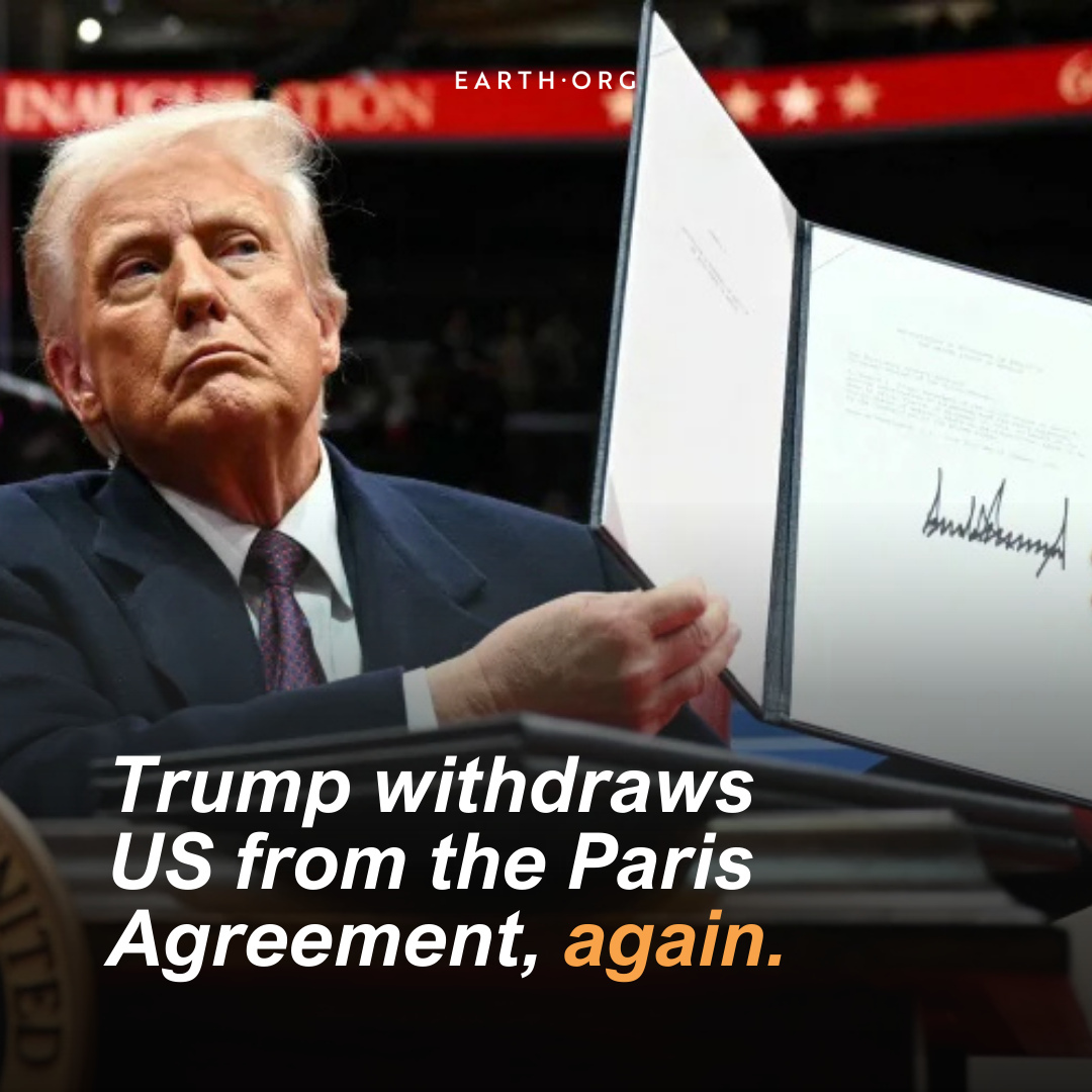 How US Climate Policy Retreat Damages Global Ecosystems, Economies, and Our Planetary Future