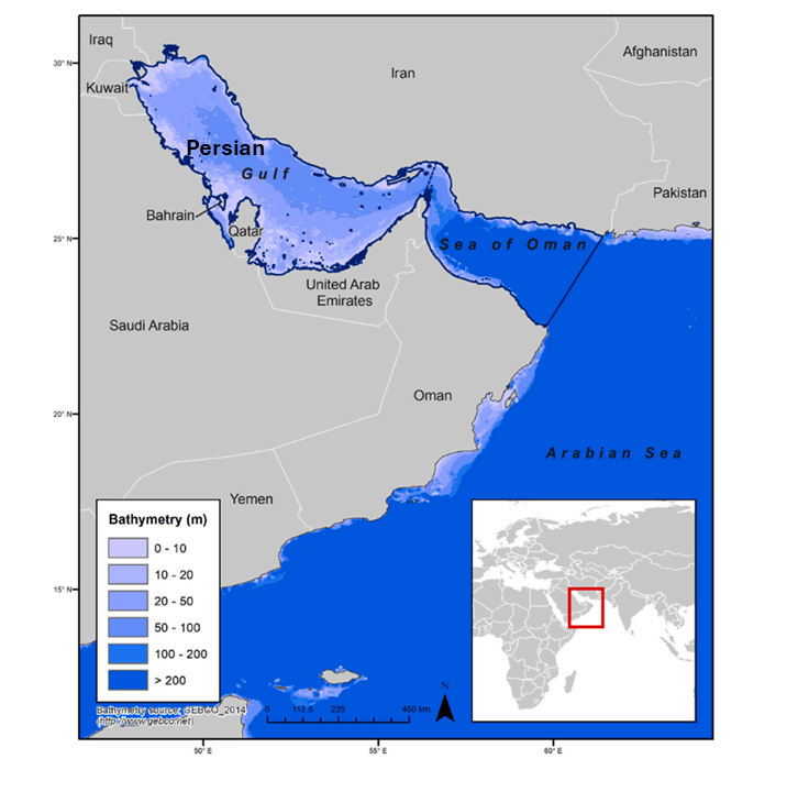 Is the development of desalination compatible with sustainable development of the Persian Gulf?