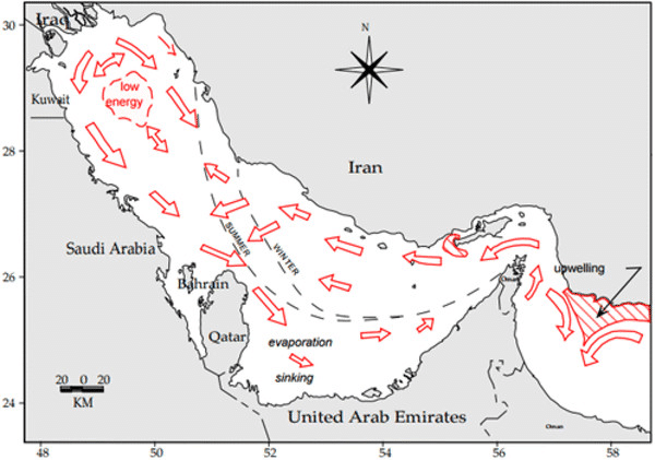 A Modeling Study of Circulation and Eddies in the Persian Gulf