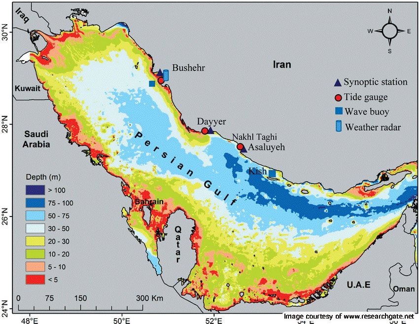 Marine Habitats, Creatures, and Biodiversity of the Persian Gulf