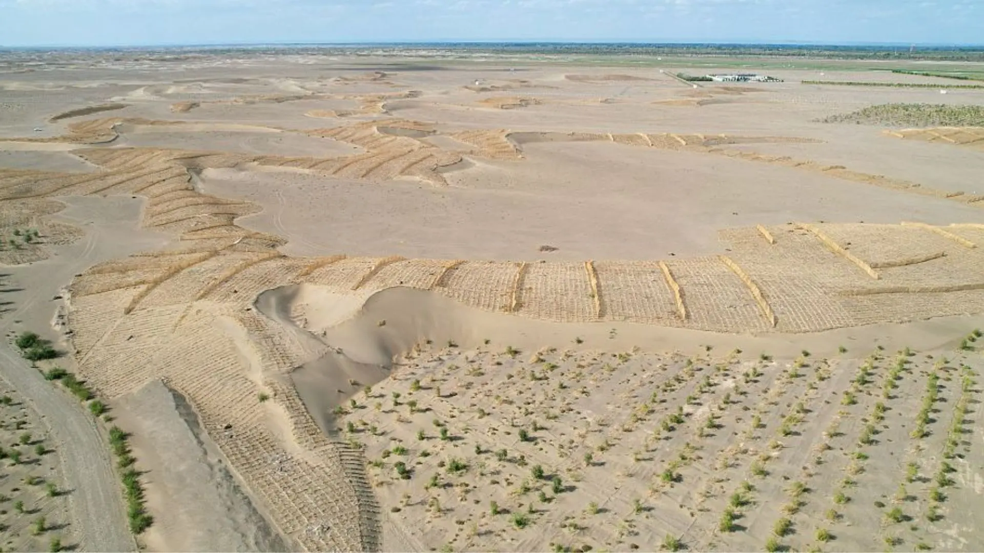 Cyanobacteria at the Helm: The Maritime Sector’s Stake in the ‘Great Green Wall’ and Desert Reclamation