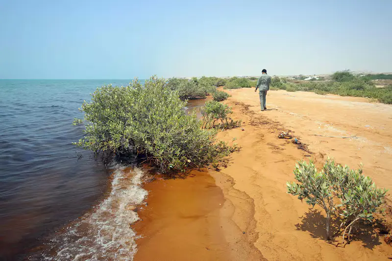 Persian Gulf nations urged to tackle ‘unprecedented’ environmental damage from war