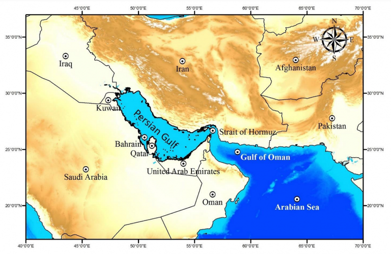 Tide characteristics and tidal wave propagation in the Persian Gulf 