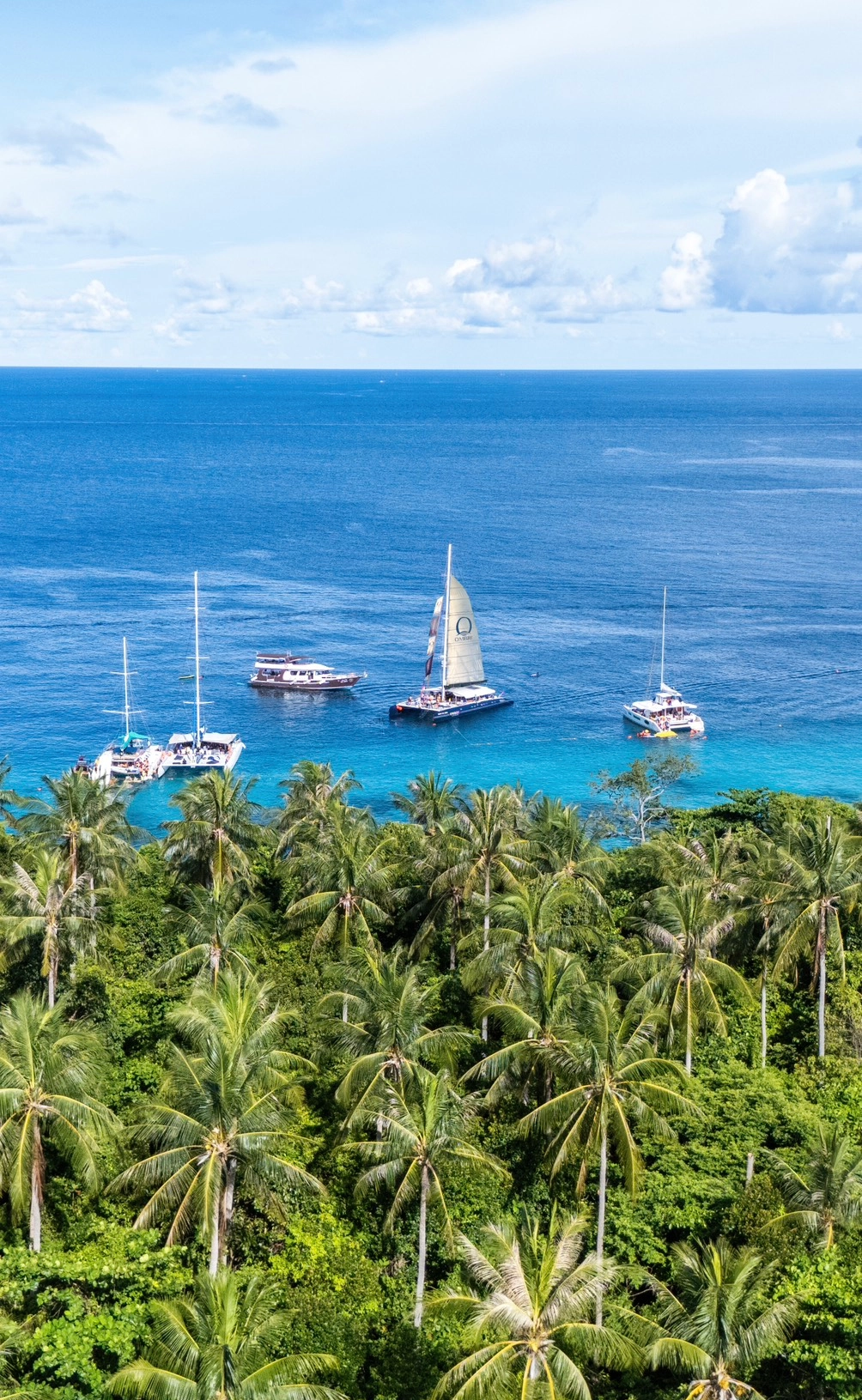 Tommy Bahama Maritime Triumph: How Nautical Heritage, Safety Culture, and Lifestyle Branding Converge at Sea