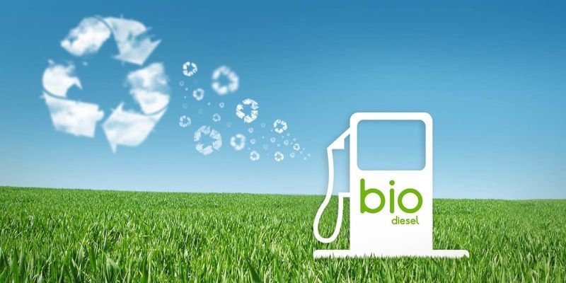 Why Biofuels Are Not Risk-Free: Operational Hazards and Safety Modeling