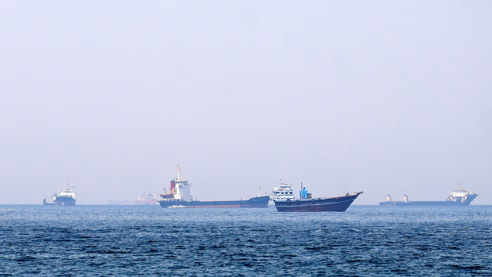 How Blockade, Stranded Ships, and War Are Turning the Persian Gulf into an Ecological Graveyard