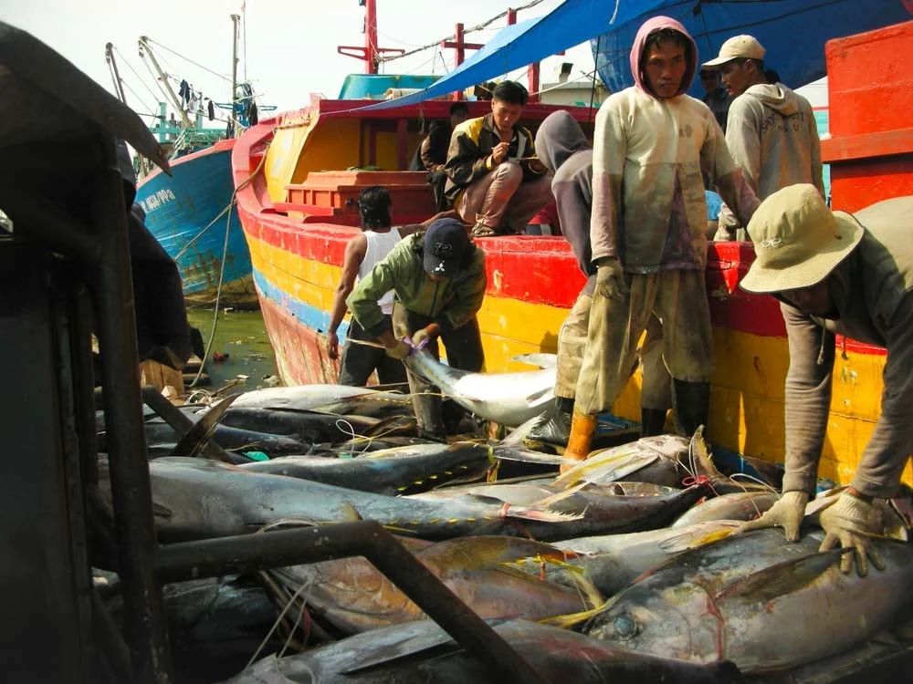 12 Top City Ports of Fishing and Fisheries in the World