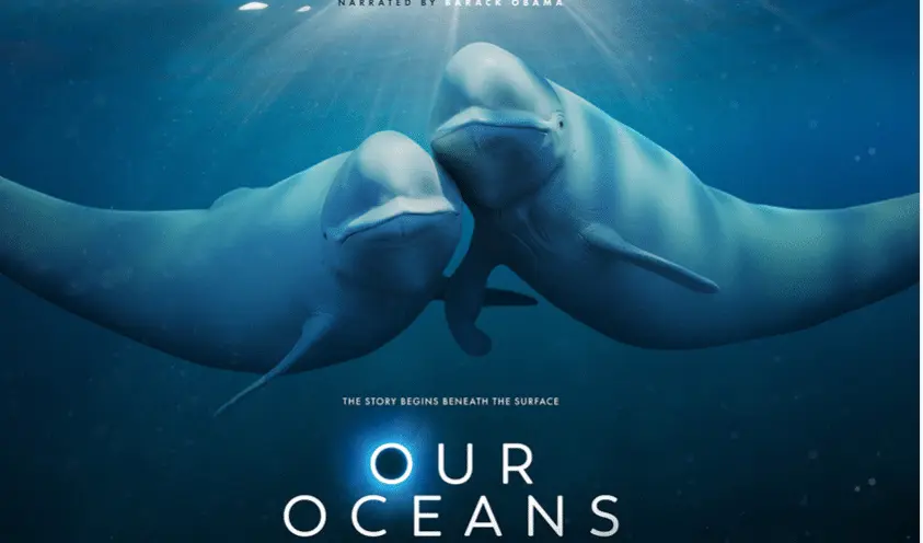 12 Top Marine & Ocean Documentaries